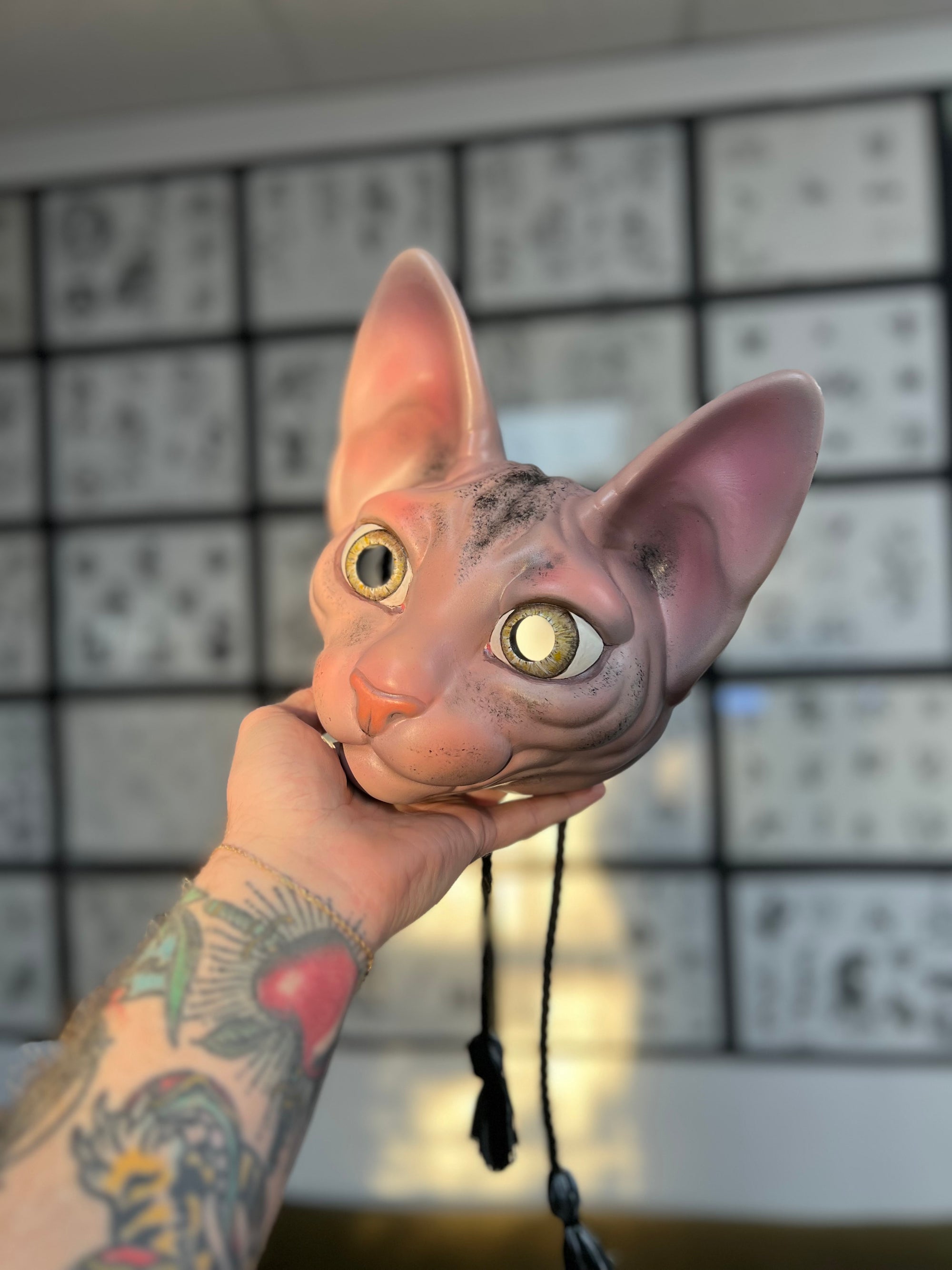 Sphynx Cat (custom)
