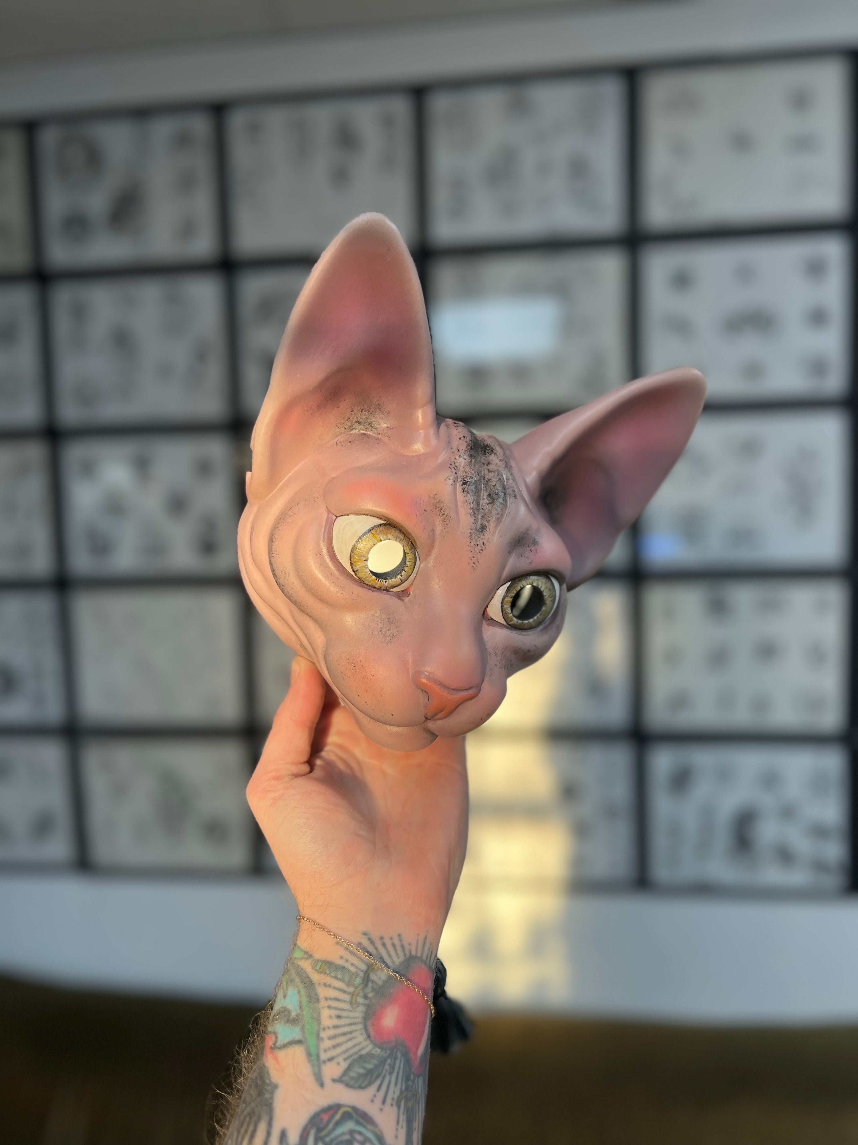 Sphynx Cat (custom)